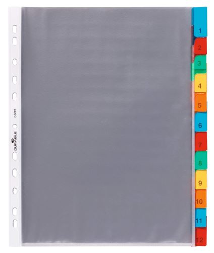 Rozdružovač A4 s 20 uzavřenými barevnými rozlišovači